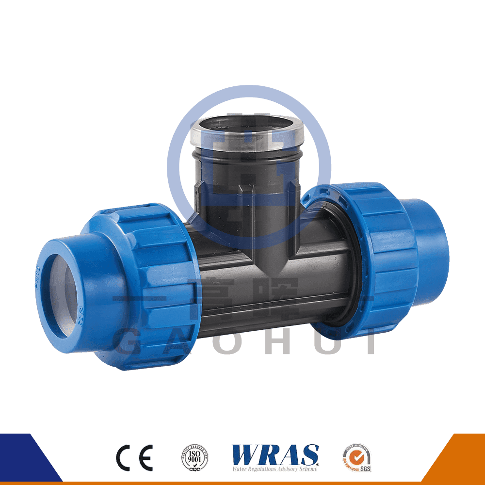 スペイン版PP女性フィッティングティーP-049